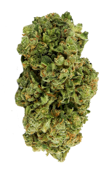 Özel müşteriler için